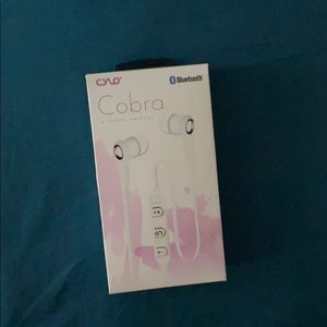 Wireless earbuds